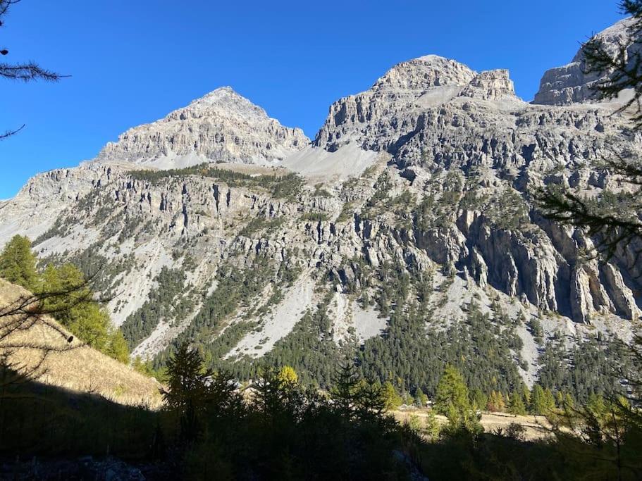 바르도네키아 Relax In Montagna 아파트 외부 사진