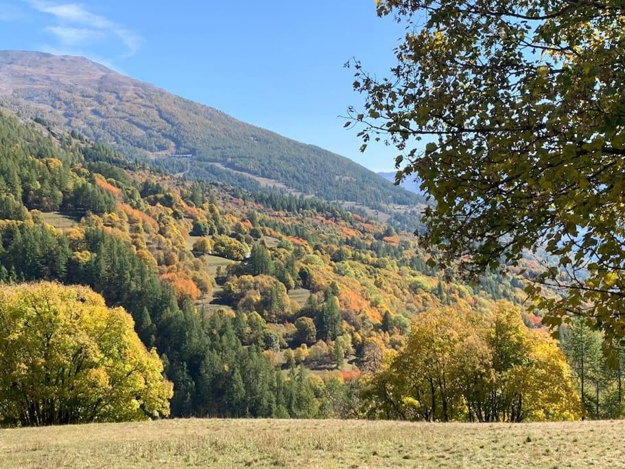 바르도네키아 Relax In Montagna 아파트 외부 사진