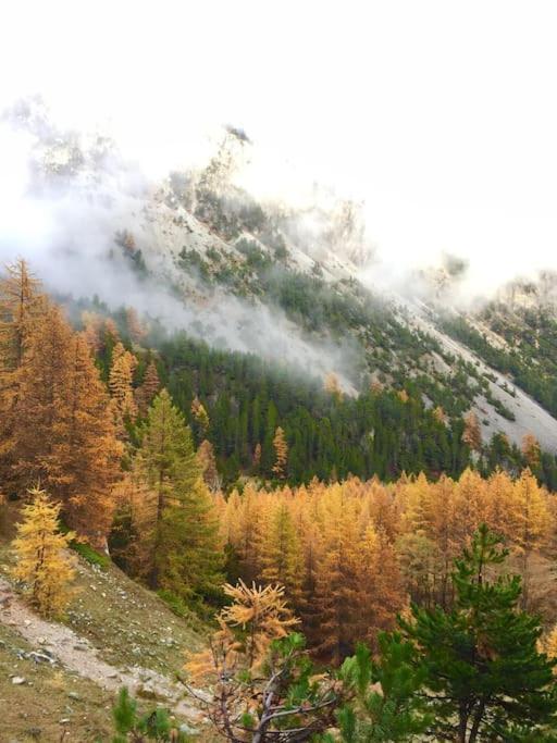 바르도네키아 Relax In Montagna 아파트 외부 사진