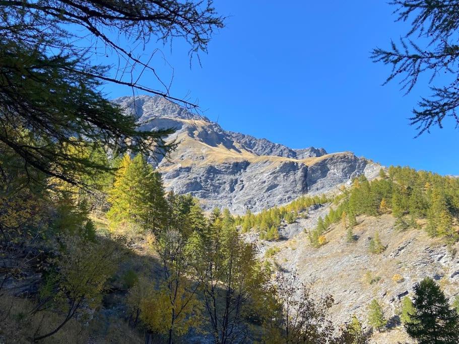 바르도네키아 Relax In Montagna 아파트 외부 사진